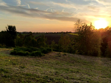 Działka Orły
