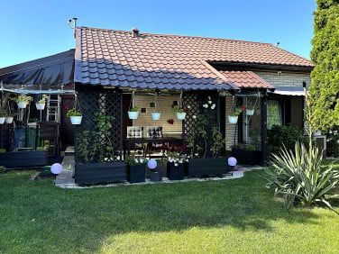 Działka Szczecin