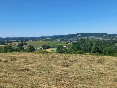 Działka rolna Szalowa