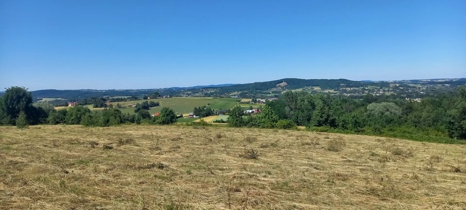 Działka rolna Szalowa