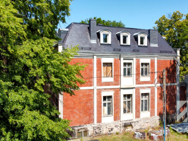 Lokal Goświnowice