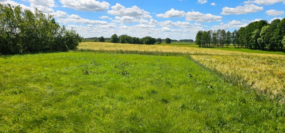 Działka budowlana Gliniski