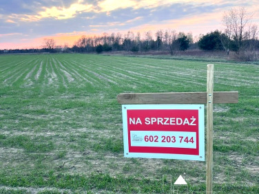 Działka przy lesie