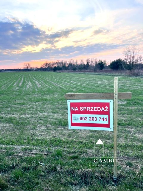 Działka przy lesie