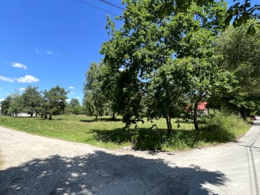 Działka Łoś