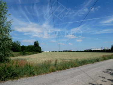 Działka przemysłowa Zalasewo