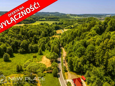 Działka Dańczów