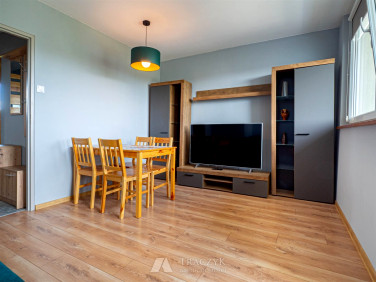 Mieszkanie Wrocław wynajem