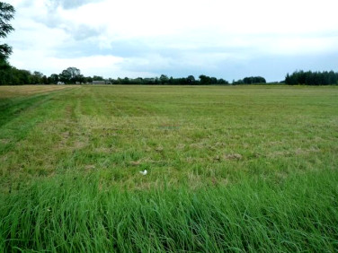 Działka budowlana Prace Małe