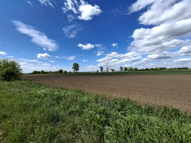 Działka inna Gaj Mały