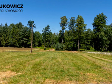 Działka Dankowice