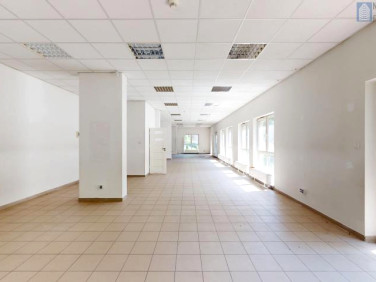 Lokal Zabrze