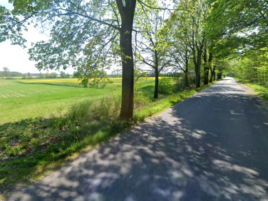 Działka Grzebienisko