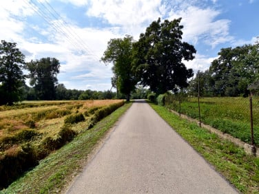 Działka Grabowiec