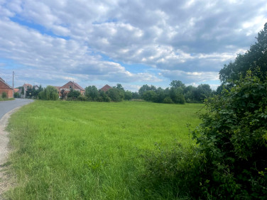 Działka budowlana Piotrkowice