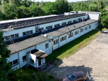 Lokal Oborniki Śląskie