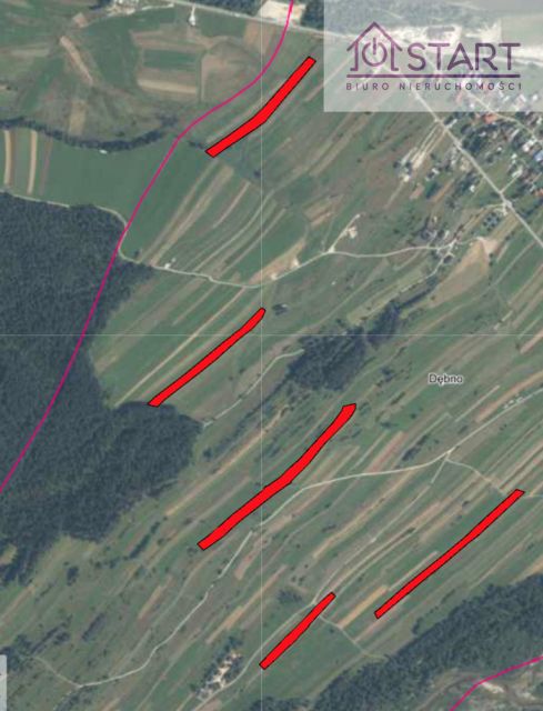 Działka rolna Dębno sprzedam