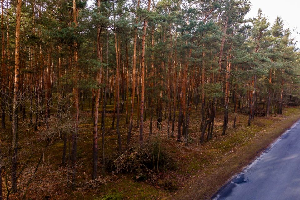 Działka budowlana Ziewanice