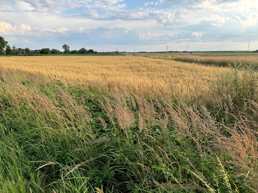 Działka budowlana Dziekaństwo