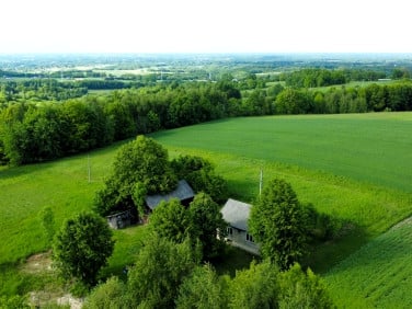 Dom Tuchów