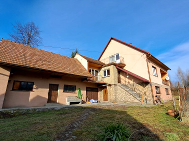 Dom Palcza