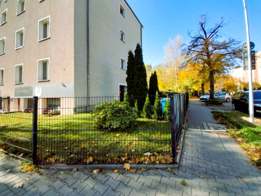 Lokal Poznań