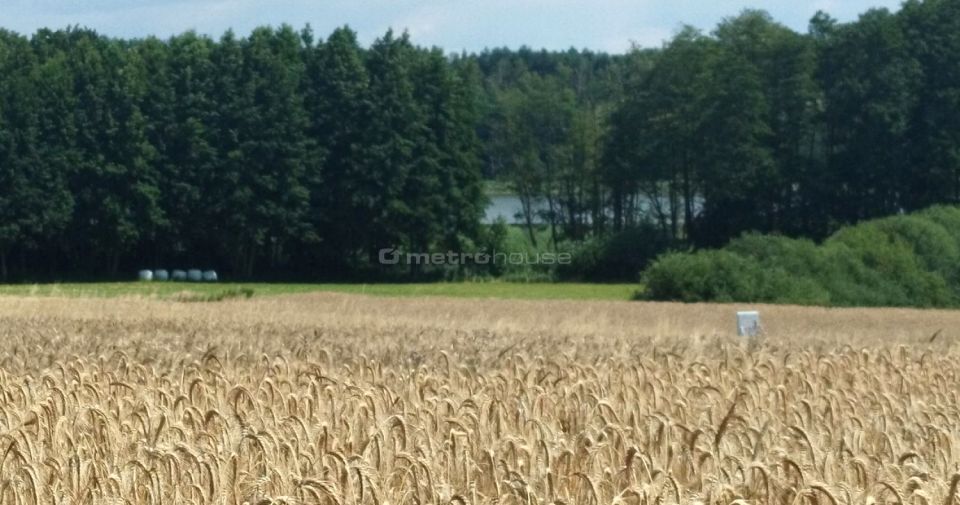 Działka budowlana Rybojedzko