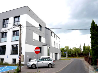 Lokal Płock