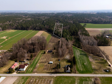 Działka leśna Albinów