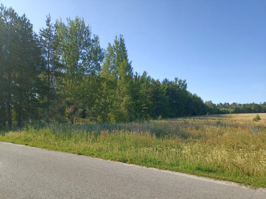Działka Kamień