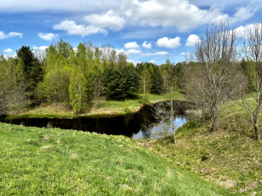 Działka Michalin