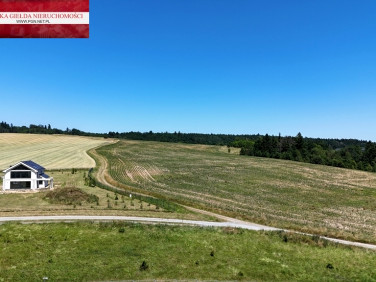 Działka Ścinawica