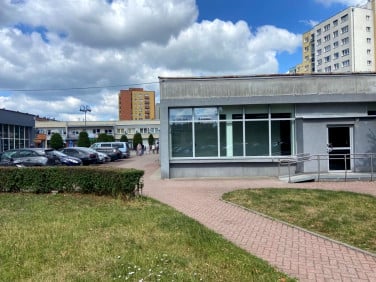 Lokal Knurów