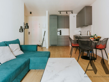 Mieszkanie apartamentowiec wynajem