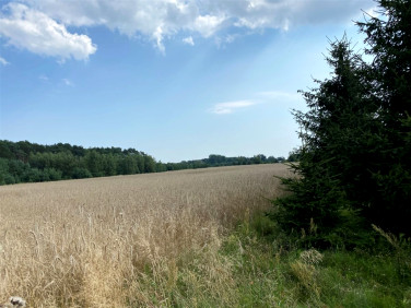 Działka Aleksandrów Łódzki