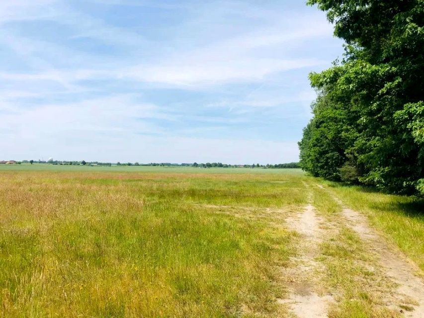 Działka Łask