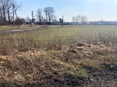 Działka Pabianice