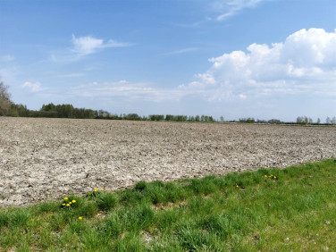 Działka Brzeziny