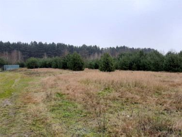 Działka Dłutów