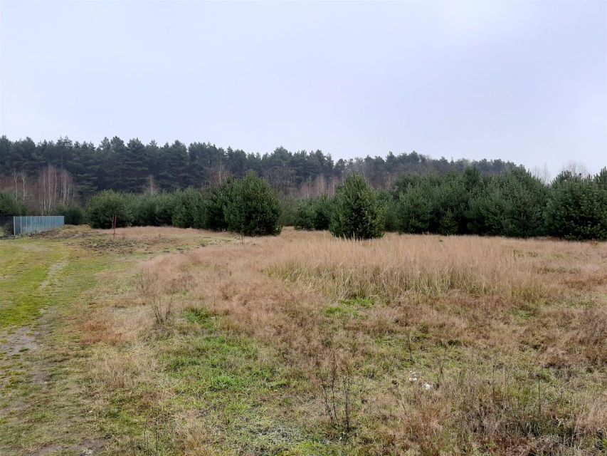 Działka Dłutów