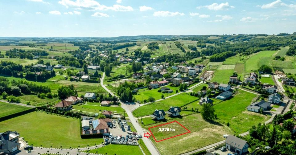 Działka leśna Bzianka