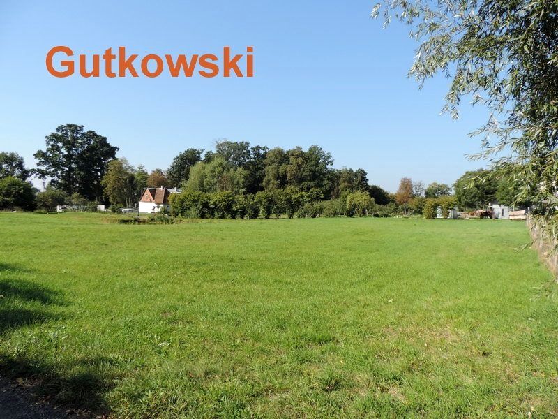 Działka budowlana Frednowy