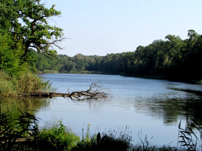 Działka budowlana Kotowice
