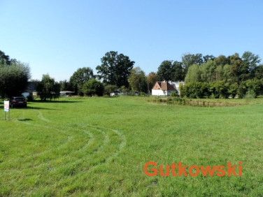 Działka Frednowy