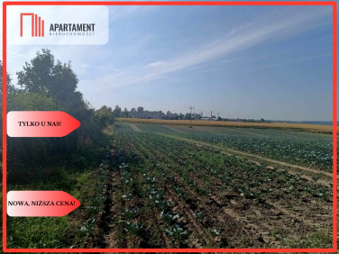 Działka inna Gołoty