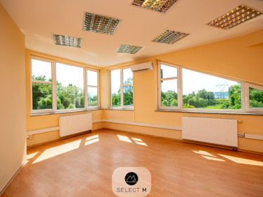 Lokal Jelenia Góra