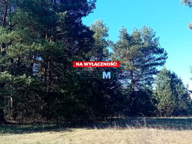 Działka budowlana Morawica