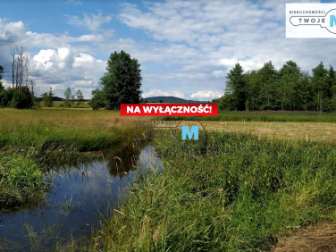 Działka inwestycyjna Korczyn