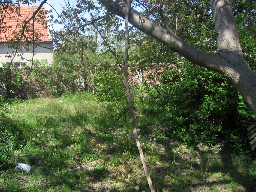 Mieszkanie Wińsko