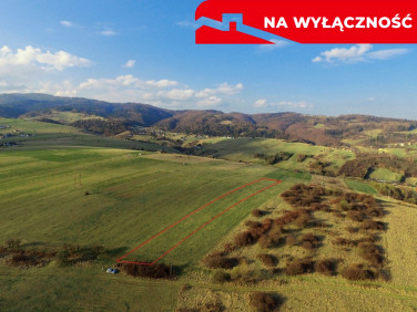 Działka Grywałd